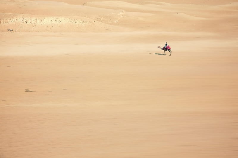 Desert Survival